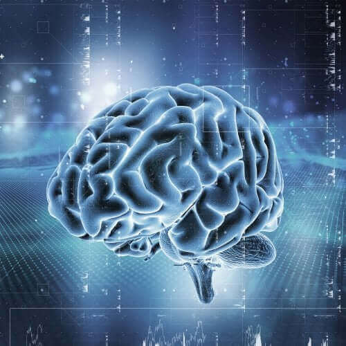 Kuinka aivojen palkitsemisjärjestelmä toimii?