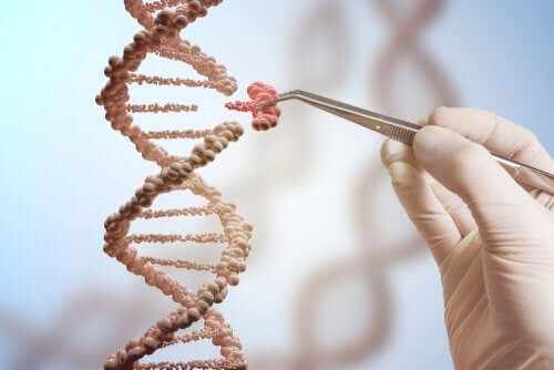 Emäksen menetys DNA:n ketjussa on emäksen korvaamista vakavampi mutaatio, sillä tässä tapauksessa muutos näkyy kokonaisessa aminohappoketjussa