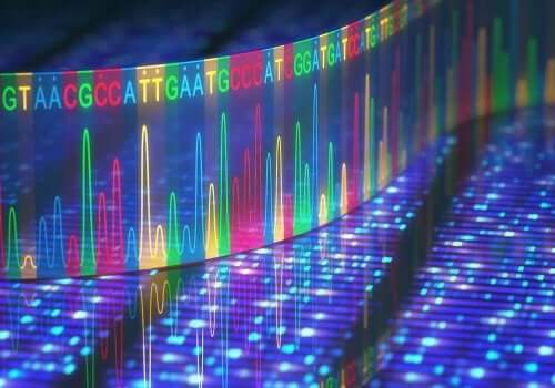 Geneettisiä mutaatioita voi esiintyä DNA:ssa, genomisella tasolla sekä kromosomien tasolla