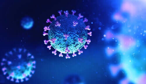 COVID-19 -pandemian perimää koodaavat tutkijat ovat havainneet, että koronaviruksen pääkantoja on kaksi, S- ja L-kanta