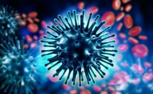 Koronaviruksen leviäminen on herättänyt kysymyksen siitä, kuinka virukset muuttuvat