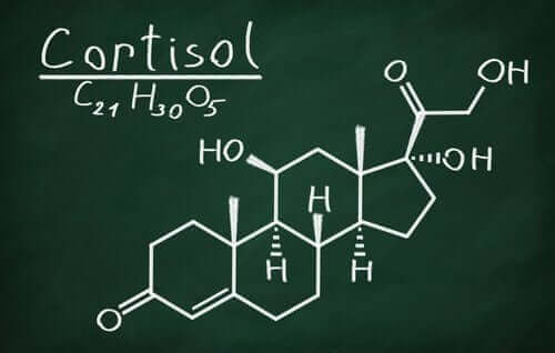Kortikotropiini stimuloi lisämunuaisia tuottamaan kortisolia