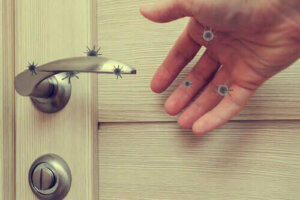 Kuinka kauan koronavirus selviää pinnoilla?