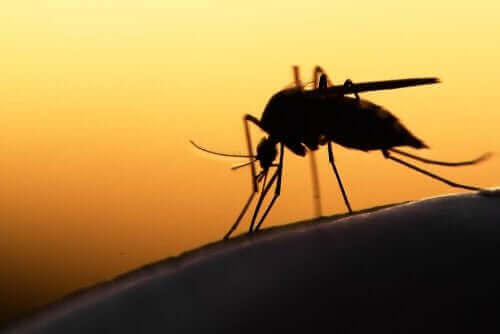 Tämänhetkiset hoidot koronavirukseen käsittävät malarialääkkeen
