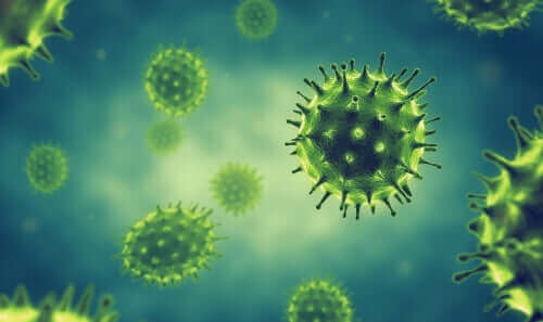 Elektronimikroskooppikuvissa on nähtävissä, kuinka koronavirus infektoi solut
