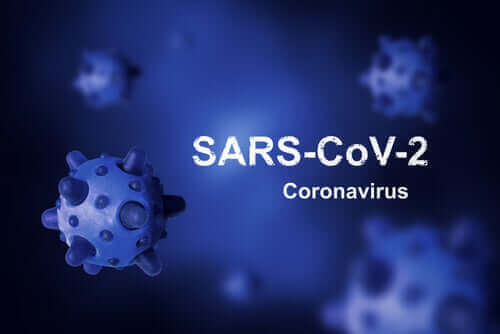 Mistä koronavirus on peräisin ja miksi emme ole onnistuneet vielä poistamaan sitä?