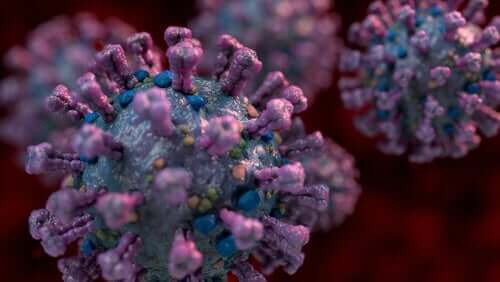 Koronavirus on helposti mutatoituva RNA-virus
