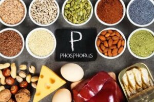 Top 27+ imagen fosfori ruoka
