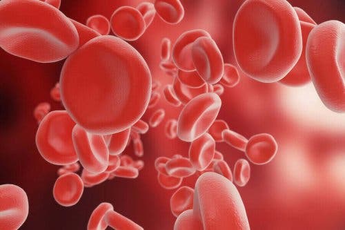 Ekkymoosi voi johtua veren hyytymisongelmista