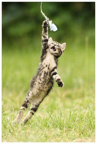 Sinnikäs ihminen omaa sekä realistisen ja joustavan ajattelutavan