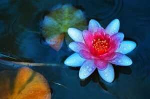 Kun joku kohtelee sinua huonosti, anna itsellesi lupa tehdä nämä 5 asiaa