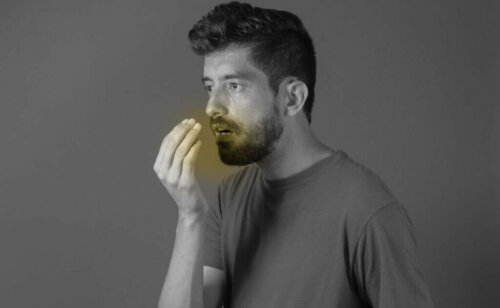 Kardemumman terveysedut yltävät aina verenpaineen laskemisesta pahanhajuisen hengityksen hoitoon