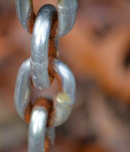 Tiedätkö, mitä sinnikkyys todella on?