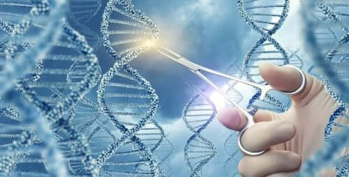 Jotkut filosofit ja tiedemiehet uskovat, että geneettiset mutaatiot jotka johtavat syöpään ovat ikään kuin kirjoitettuina DNA:han.