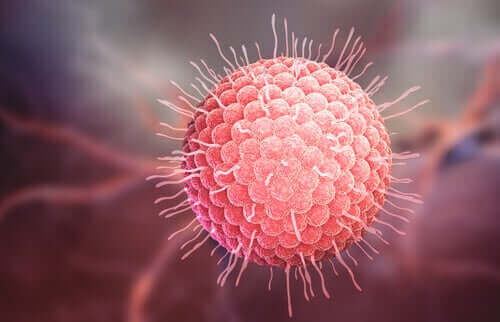 Virusten lisääntymiskierto on monimutkainen prosessi.