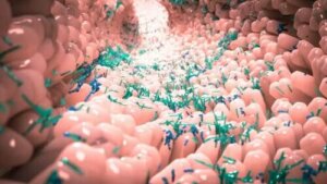 Mikä on ihmisen normaali mikrobiomi?