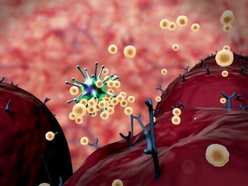 Mikä on immuunireaktio?