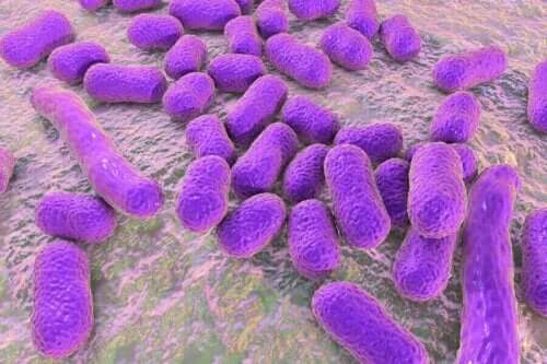 Kun keuhkoihin kuulumattomia bakteereja pesiytyy sinne, syntyy keuhkokuume