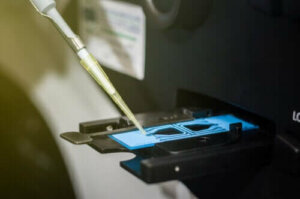 Siemennesteanalyysin tulosten tulkinta