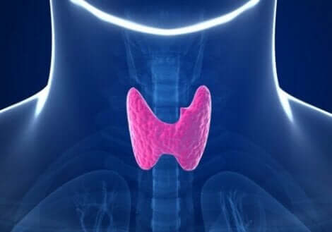 Tyreotropiini on osallisena kilpirauhashäiriöissä