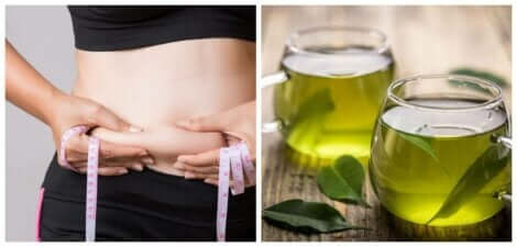 Vihreä tee auttaa vähentämään rasvaa kehosta