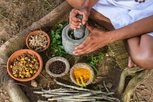 Ayurveda-ruokavalio ja sen terveyshyödyt - Askel Terveyteen