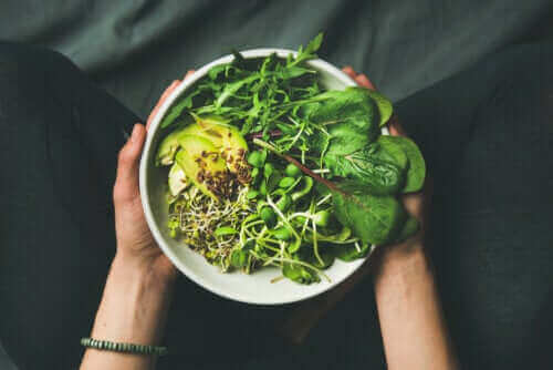 Mitä eroa on vegaanin, kasvissyöjän ja fleksitaarin välillä?