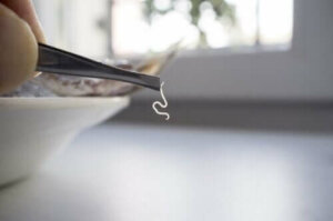 Yleisimmät ruoan loiset ja niiden ehkäisy