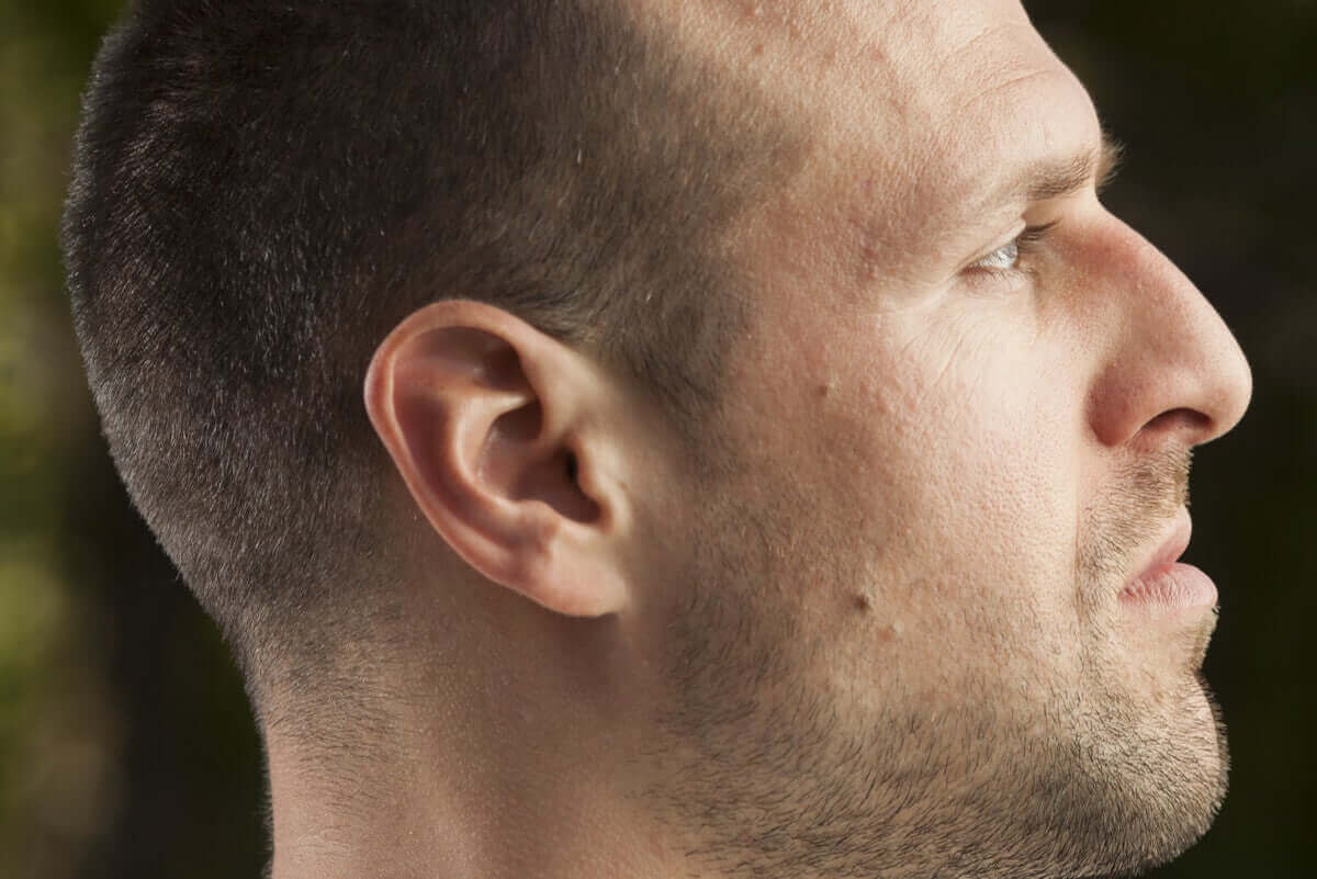 Erilaisia nenän muotoja: vaihtelu syntyperän mukaan.