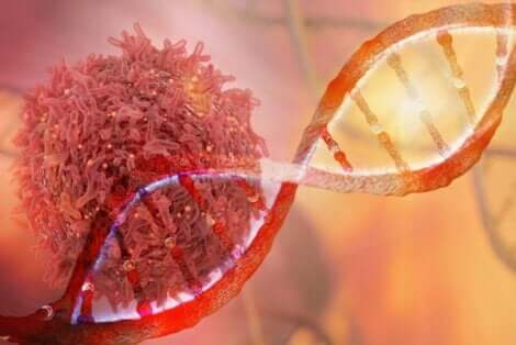 Syöpäsolut syntyvät mutaation seurauksena
