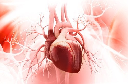 7 vinkkiä sydämen terveydestä huolehtimiseksi