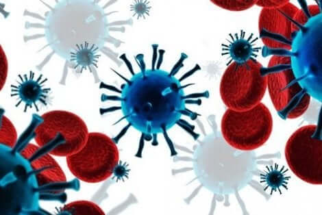 Immuunijärjestelmä taistelee syöpää vastaan muun muassa T-solujensa avulla