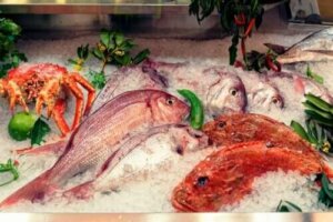 Elohopea kaloissa ja sen vaikutukset