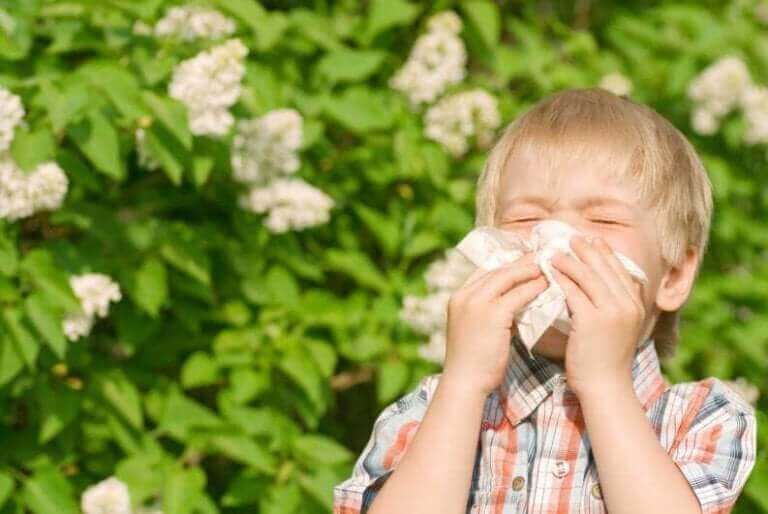 Lasten allergioita: siitepöly.