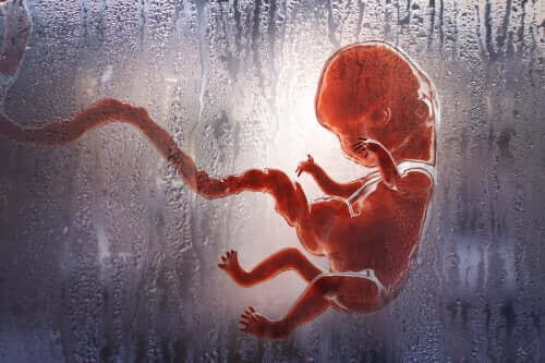Erilaisia abortteja: mitä niistä tulisi tietää