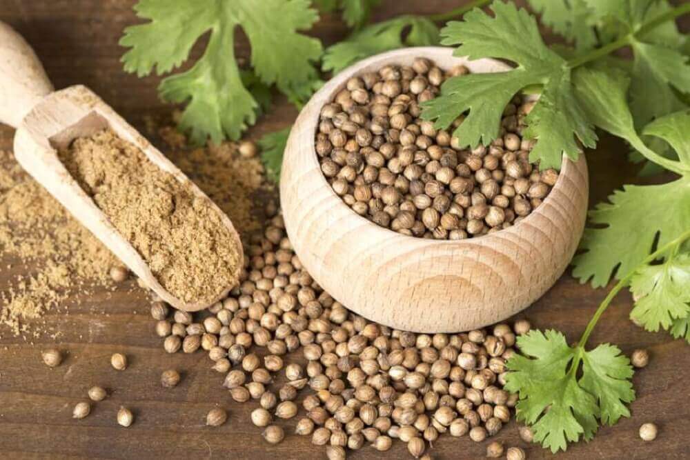 5 siementä, jotka kannattaa sisällyttää painonpudotusta edistävään ruokavalioon - korianterinsiemenet.