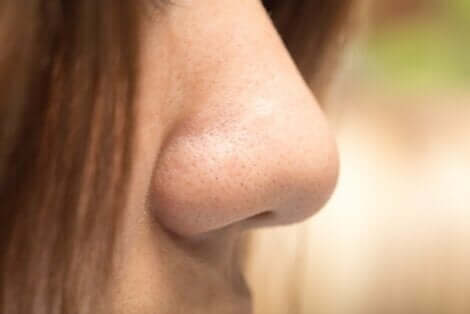 Hajuhallusinaatiot voivat johtua nenästä