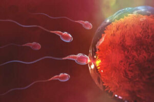 Kauanko raskaaksi tuleminen kestää yhdynnän jälkeen?