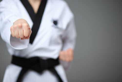 Karaten ja taekwondon erot eivät ole järin suuret.