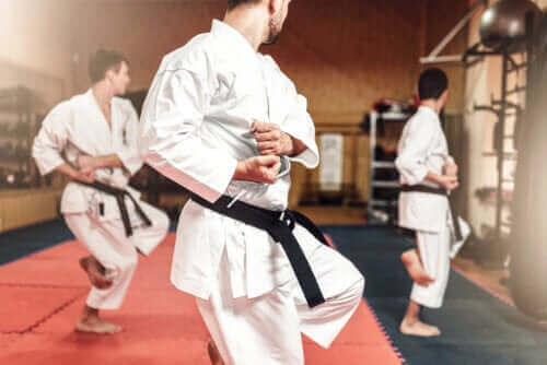 Karaten ja taekwondon väliset erot