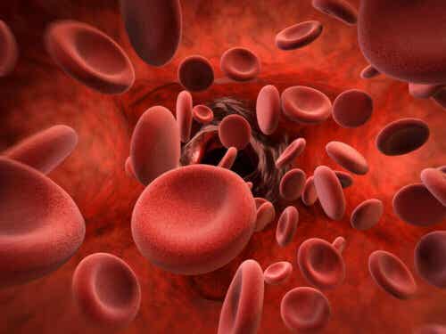 Sinun on hyvä tietää treenimaskeista se, että ne auttavat lisäämään punasolujen määrää veressä.