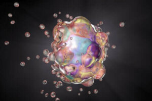 Apoptoosin ja nekroosin väliset eroavaisuudet