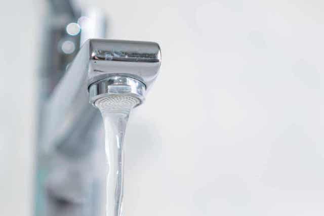 Ihmesientä voidaan käyttää hanojen puhdistukseen