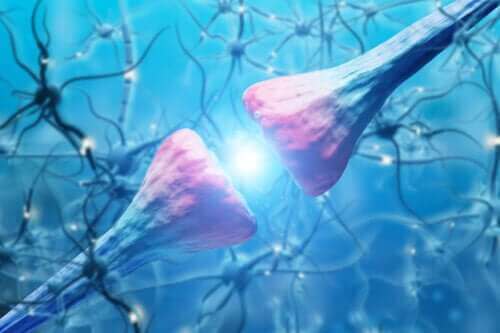 Neuronien ominaisuudet ja toiminta