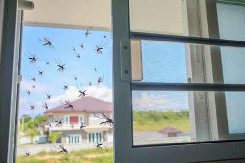 Hyttysverkot pitävät kodin vapaana hyttysistä.