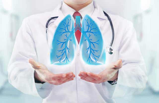 Hantavirusinfektio voi vaikuttaa keuhkoihin.