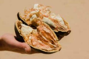 Baobab-hedelmä: ominaisuudet, hyödyt ja käytön esteet