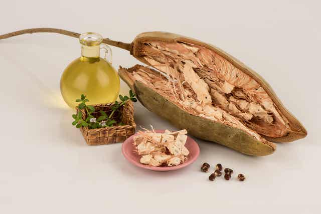 Baobab-hedelmässä on paljon ravintoaineita