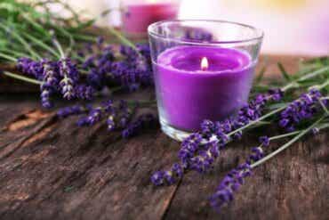 Kuinka tehdä koristekynttilä laventelin kukista?