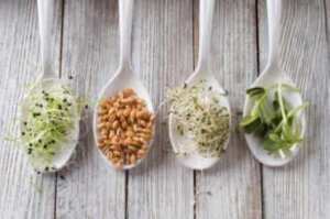 Erilaiset idut: hyödyt, riskit ja kasvatus